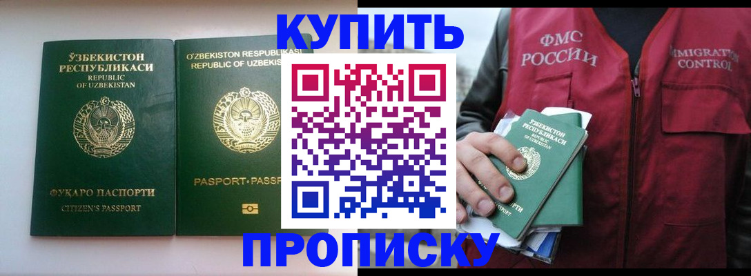 где прописаться в Дмитрове